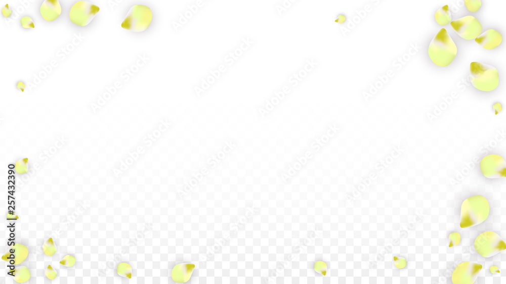 Vector Realistic Pink Petals Falling on Transparent Background. Spring Romantic Flowers Illustration. Flying Petals. Sakura Spa Design. Blossom Confetti. Vector Realistic Pink Petals Falling on Transparent Background. Spring Romantic Flowers Illustration. Flying Petals. Sakura Spa Design. Blossom Confetti.