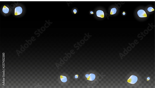 Vector Realistic Blue Petals Falling on Transparent Background.  Spring Romantic Flowers Illustration. Flying Petals. Sakura Spa Design. Blossom Confetti.