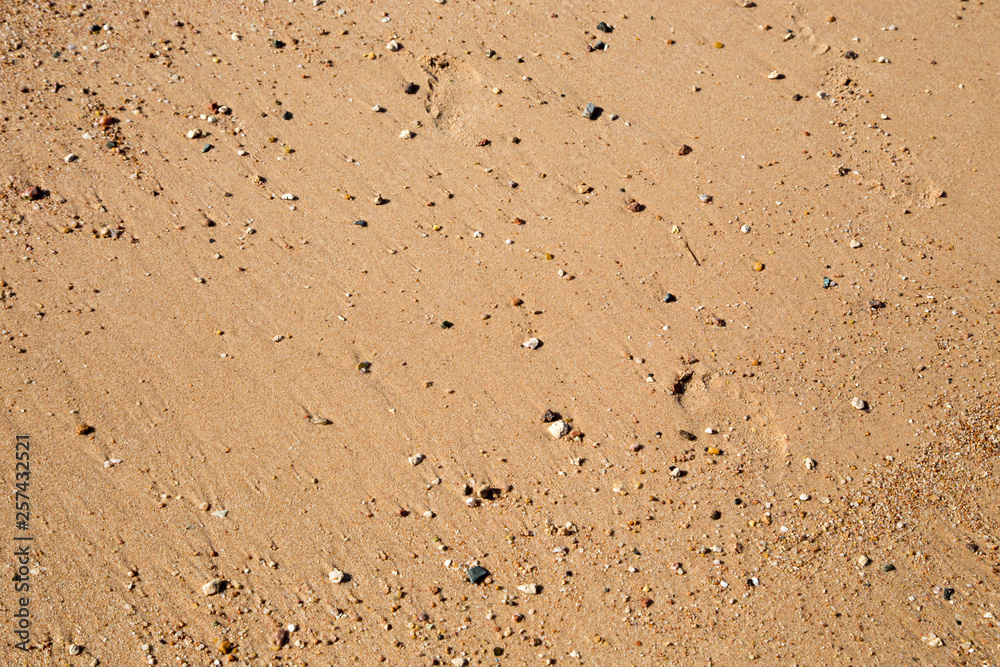 Sand texture on the beach. Natural background. Sand texture on the beach. Natural background.