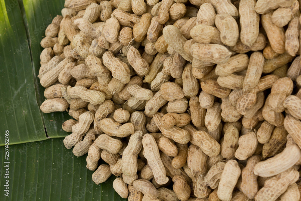 pile of peanuts pile of peanuts