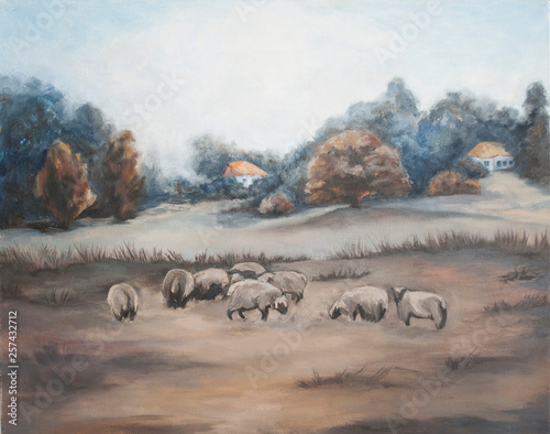 Fotografie rustic morning, the sheep grazing