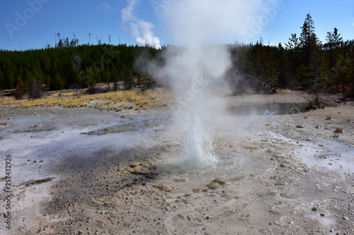 Vixen Geyser