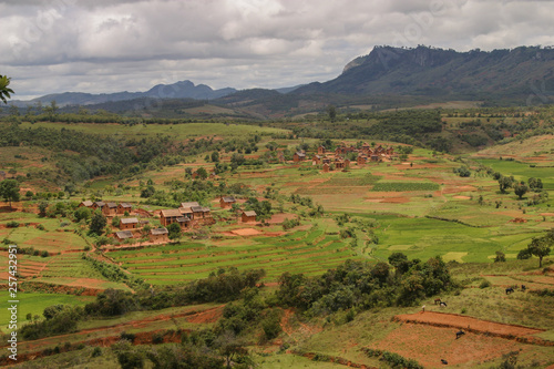 typical red houses in the highlands of Madagascar among rice terraces
