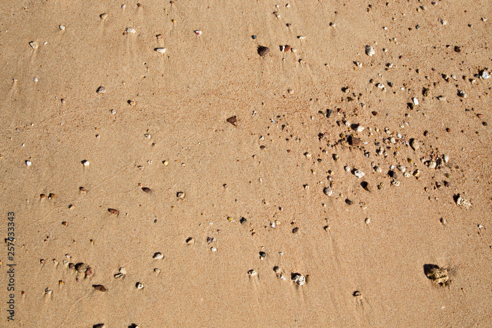 Sand texture on the beach. Natural background. Sand texture on the beach. Natural background.