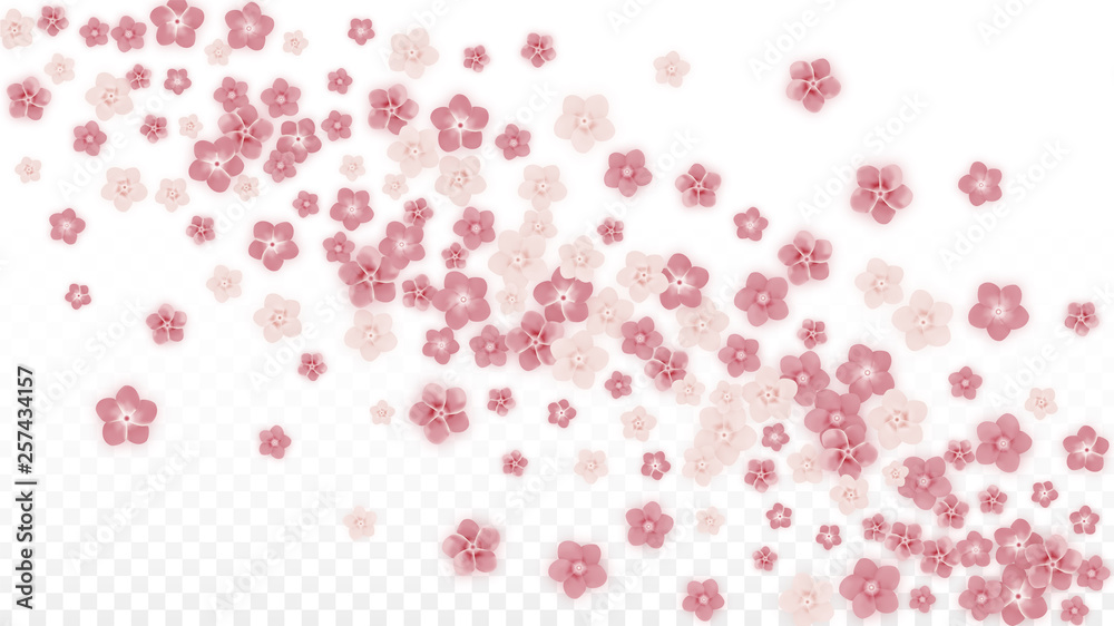 Vector Realistic Pink Flowers Falling on Transparent Background. Spring Romantic Flowers Illustration. Flying Petals. Sakura Spa Design. Blossom Confetti. Design Elements for Wedding Decoration. Vector Realistic Pink Flowers Falling on Transparent Background. Spring Romantic Flowers Illustration. Flying Petals. Sakura Spa Design. Blossom Confetti. Design Elements for Wedding Decoration.