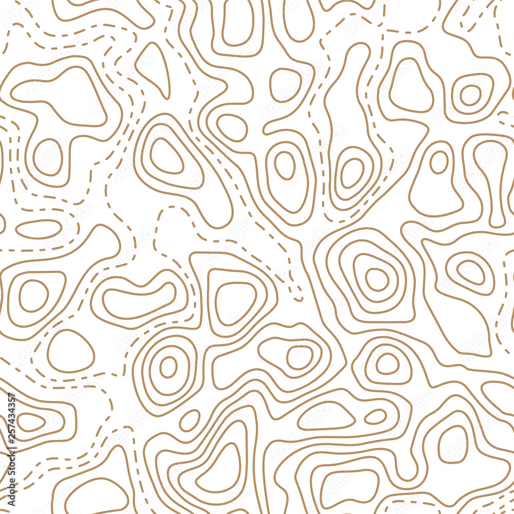 Topographic map seamless pattern. Abstract wavy lines. Vector print.