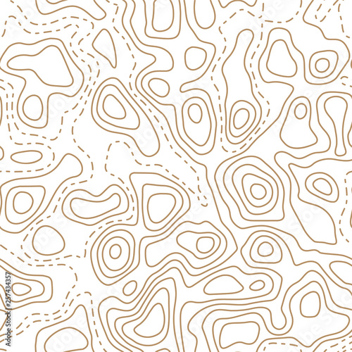 Topographic map seamless pattern. Abstract wavy lines. Vector print.