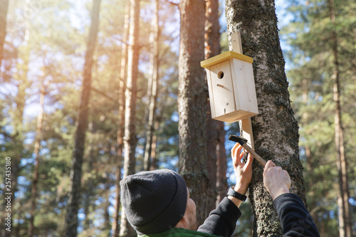 Fotobehang man nailing birdhouse on the tree trunk in the forest