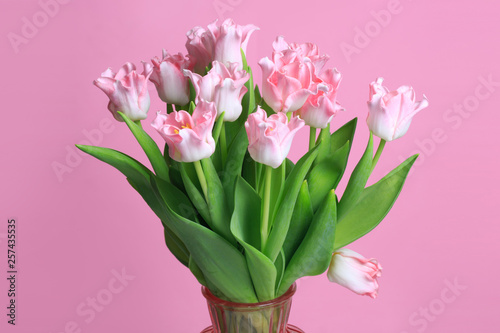 Bouquet of tender tulips isolated on pink background. © ksi