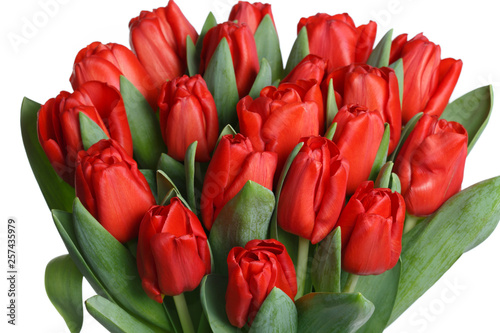 Bouquet of red tulips isolated on white background.