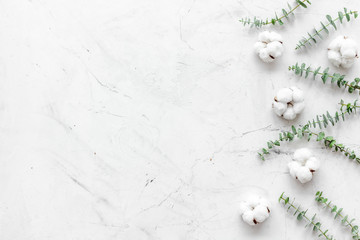 Flowers border with green eucalyptus branches and dry cotton flowers on white stone background top view space for text.