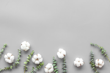 Flowers border with green eucalyptus branches and dry cotton flowers on grey background top view copy space.