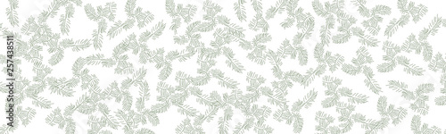 Modern Fir Branches Vector Line Art on white Background.