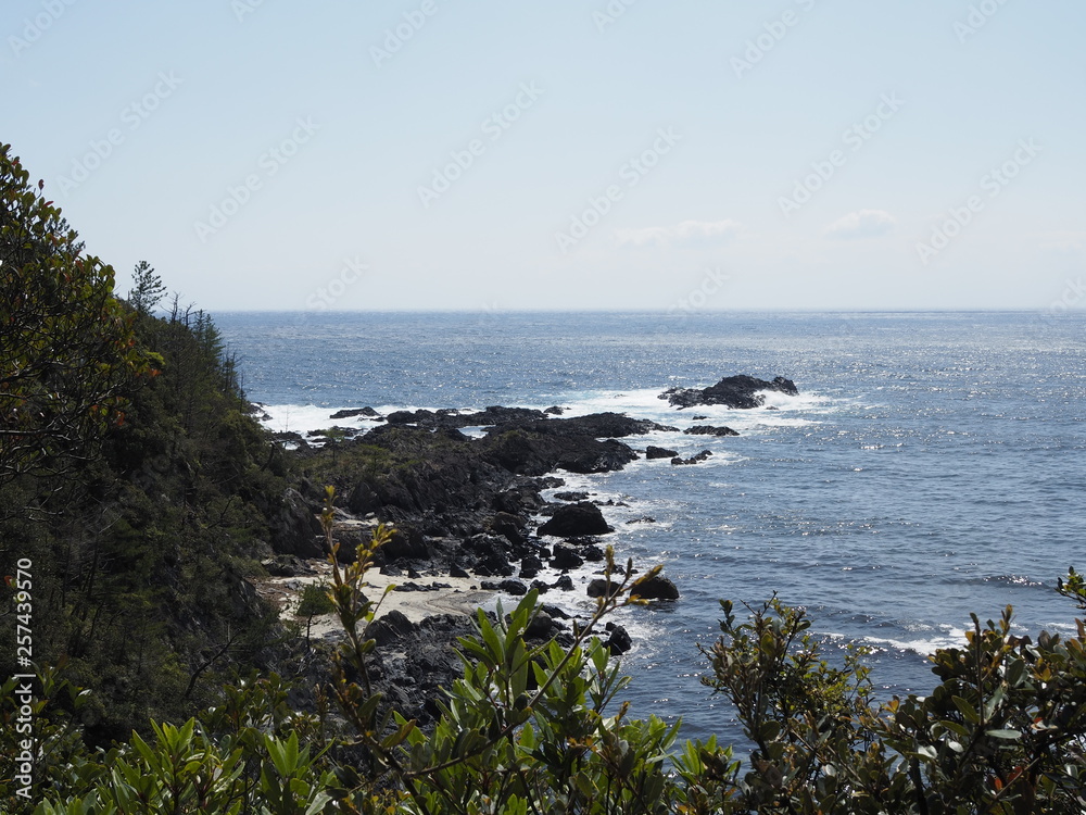 Fototapeta premium 屋久島