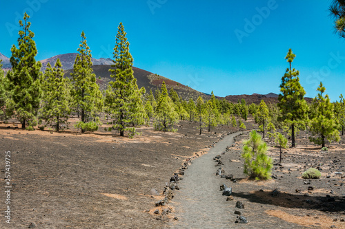 Colorful view of Teide National Park on Tenerife