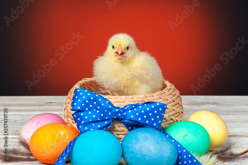 chick with easter eggs on wooden table