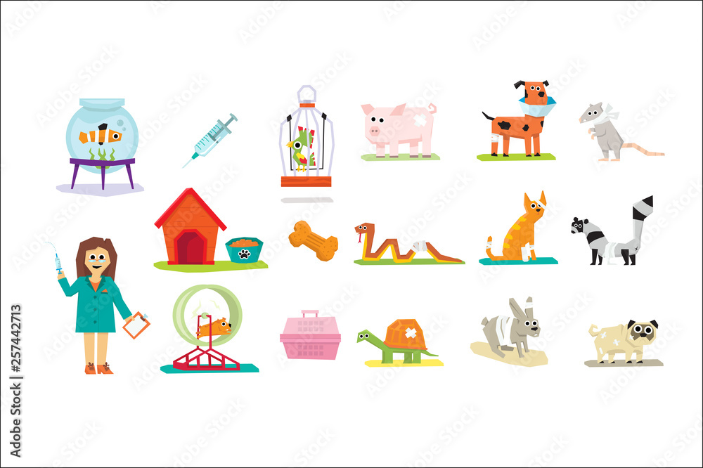Professional vet doctor and domestic animals set, veterinary care vector Illustrations on a white background