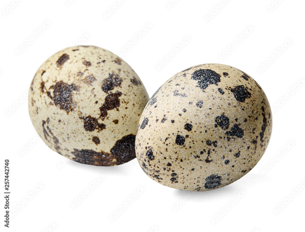 Quail eggs close up on white isolated background. Side view. Quail eggs close up on white isolated background. Side view.