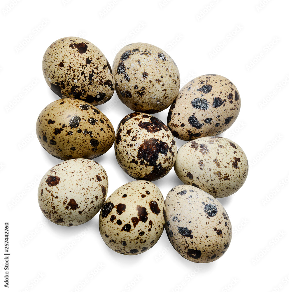 Nine quail eggs on a white isolated background. Close-up. View from above.