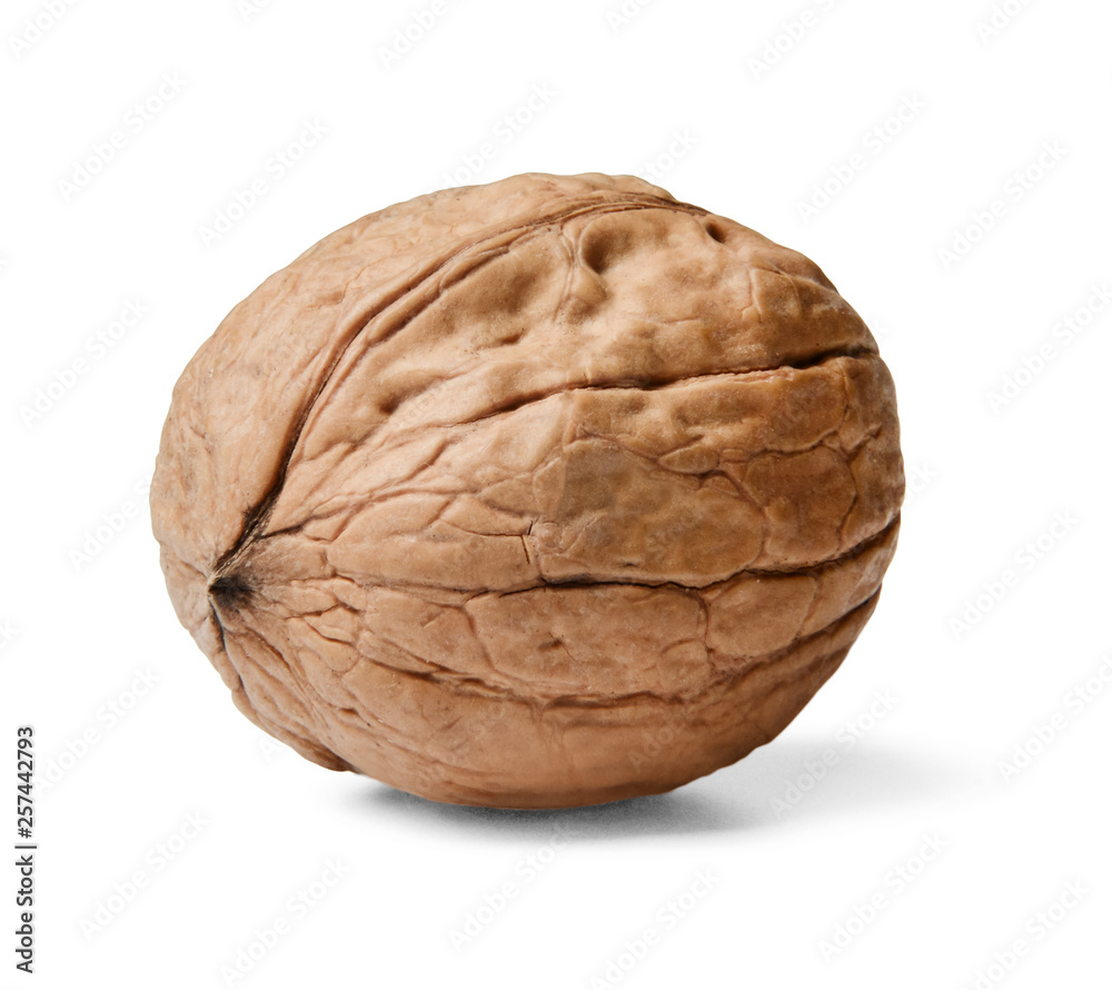 Whole walnut in shell. White isolated background. Macro. Side view. Whole walnut in shell. White isolated background. Macro. Side view.