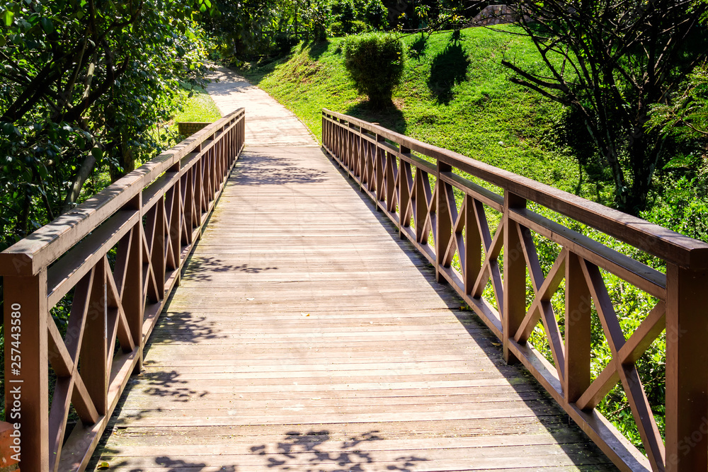 Wooden bridge on a walking path in a city park on a sunny day