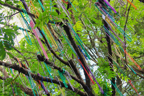 Colorful necklaces hanging in tree (New Orleans)