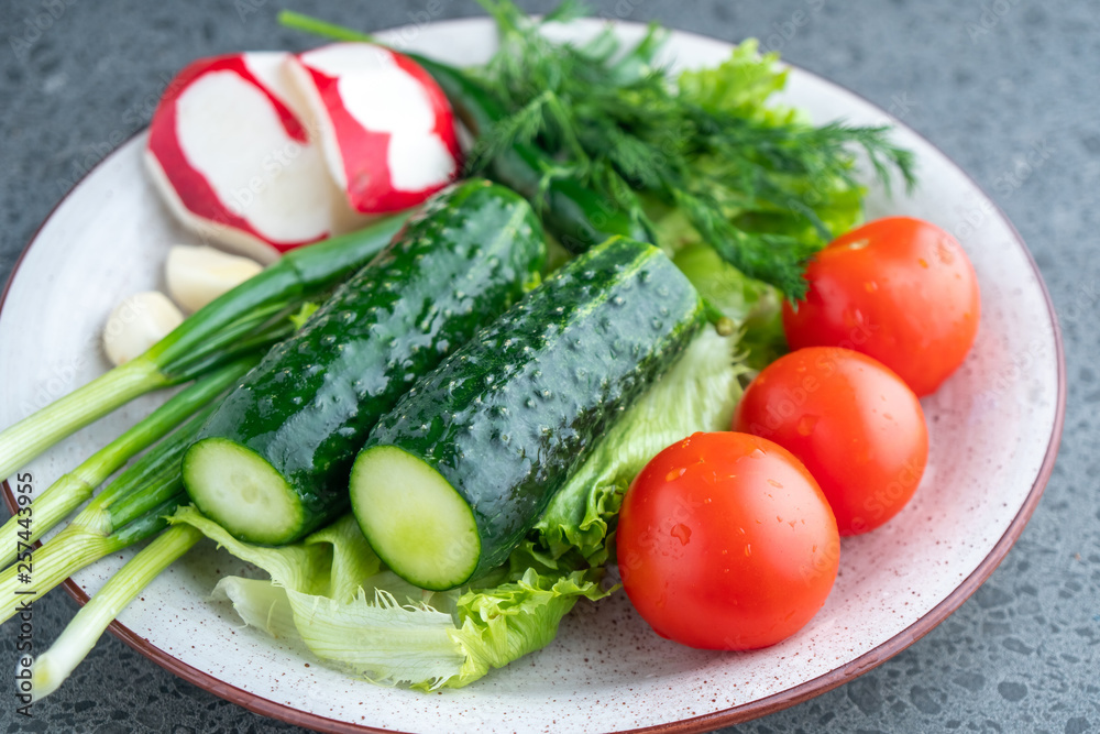 cucumber, tomato, radish, parsley, onion and other vegetables on a plate
