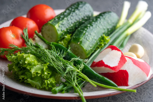 cucumber, tomato, radish, parsley, onion and other vegetables on a plate
