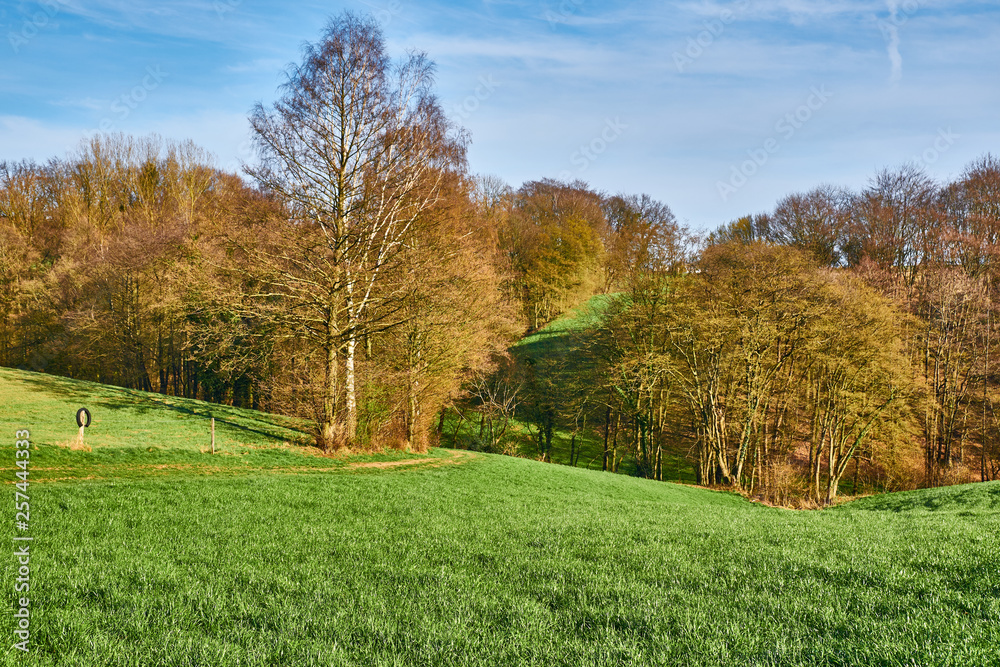 Landschaft mit grüner Wiese und blauem Himmel und Bäumen am Horizont. Lohmar, NRW, Deutschland. Frühlingsbeginn.