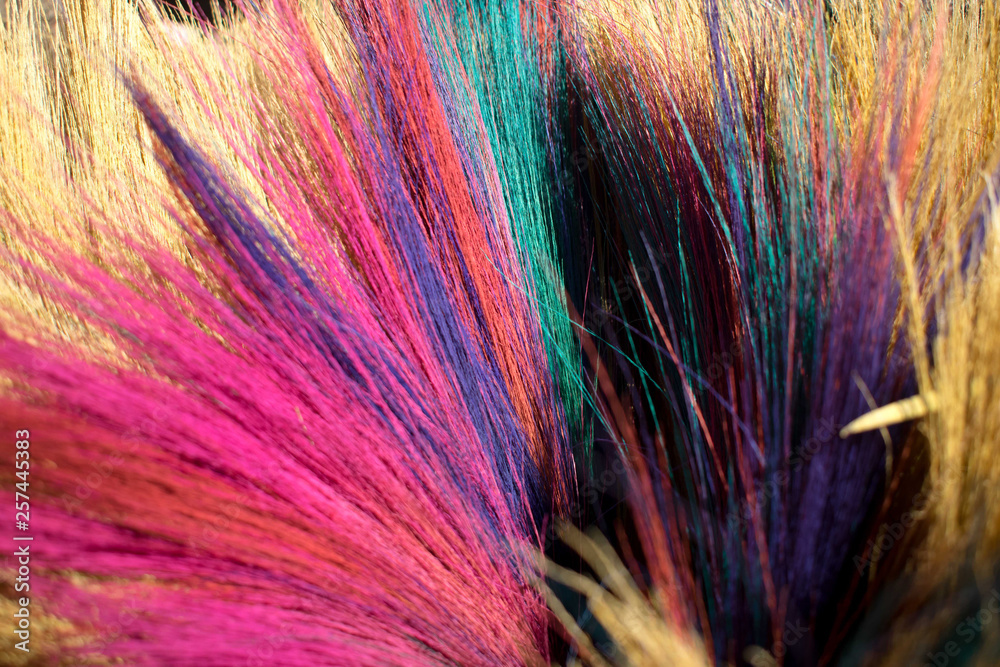 Obraz premium Close up of soft broom dyed in pink, purple and green, multicolored soft broom