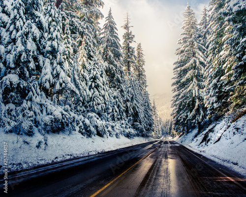 winter road travel hemlock Forest pine trees frozen call winter travel explore Oregon West coast Snow mountain