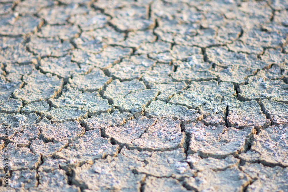 Fototapeta premium ground dried and crack and arid, no water. soft focus.