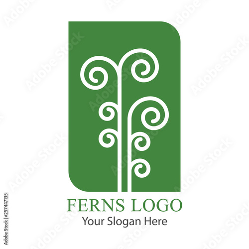 Leaf of a green fern logo vector.