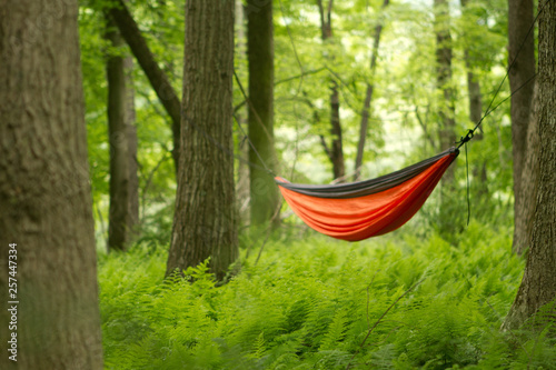 Travel explore hammock adventuring hiking traveling sleeping restful beautiful peaceful quiet enjoyable