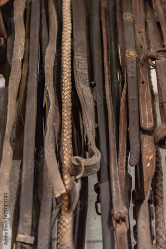 Leather horse bridles and brakes hanging on a stable