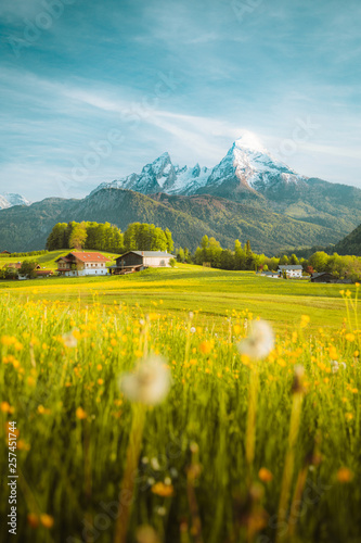 Obraz na płótnie Idyllic landscape in the Alps with blooming meadows in springtime w salonie