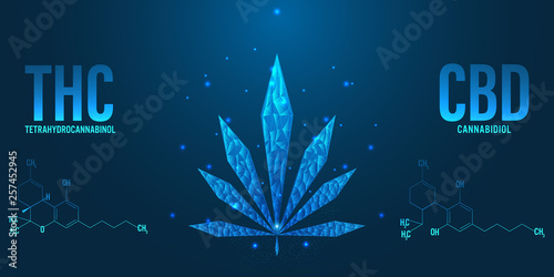 Cannabis low polygonal design concept on blue background
