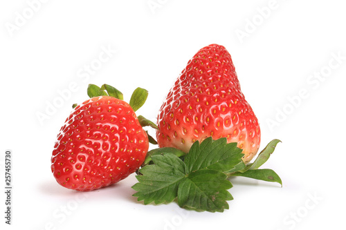  strawberry on a white background