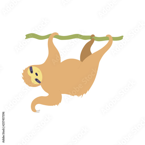 Vector illustration of cute character sloth