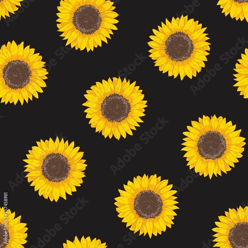Botanical seamless pattern with sunflower heads