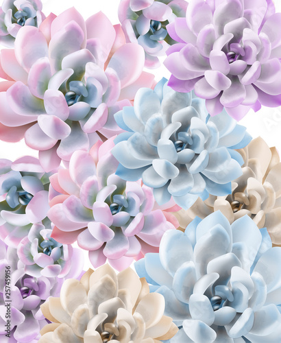Watercolor Succulent plant pattern Vector. Hand painted vintage gardening background. floral texture backgrounds