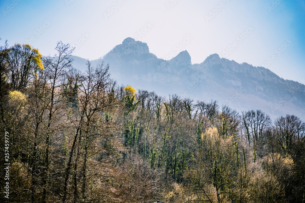 Mont de la dent du chat