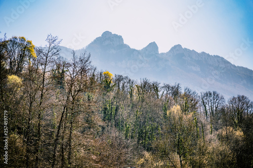 Mont de la dent du chat