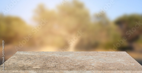 Empty stone texture with blurred soft light olive tree background. product display template. Business presentation. Mock up template for display.