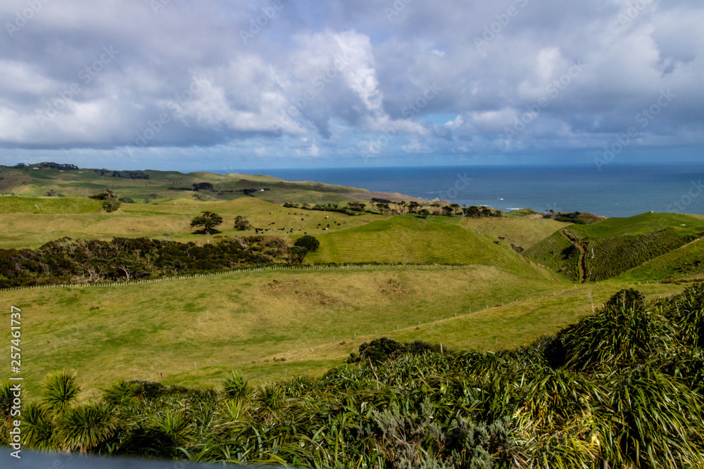A stroll around the grounds, Manakua Heads, Auckland, New Zealand