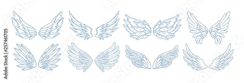 Collection of angel, bird or amour feather wings drawn with contour lines. Set of romantic decorative design elements isolated on white background. Elegant vector illustration for Valentine's day.