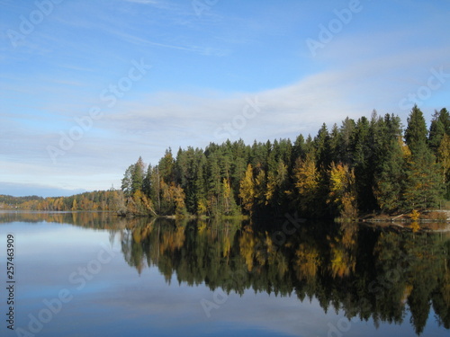 lake in forest