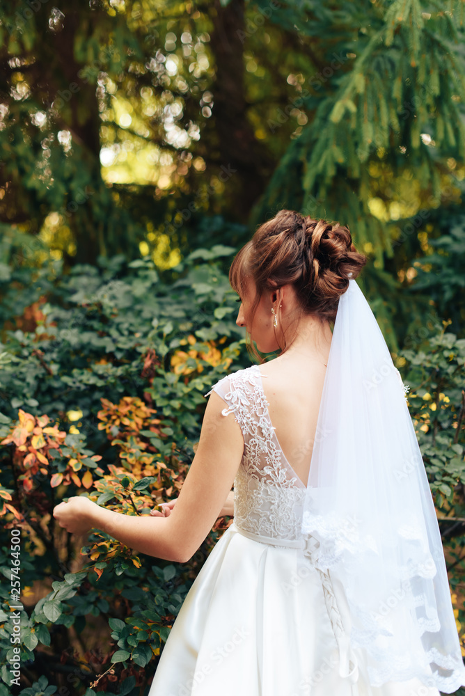 young beautiful bride in nature in summer 1 young beautiful bride in nature in summer 1