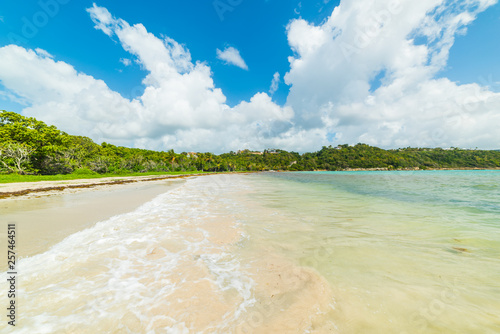 Pointe de la Saline beach on a sunny day in Guadeloupe