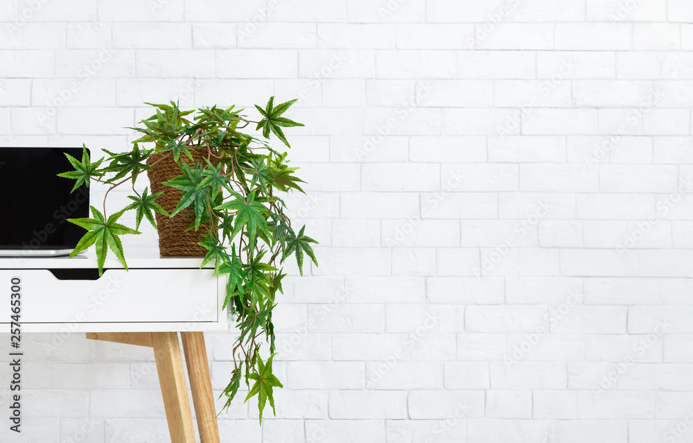 Laptop and pot with plant on desk, copy space Laptop and pot with plant on desk, copy space